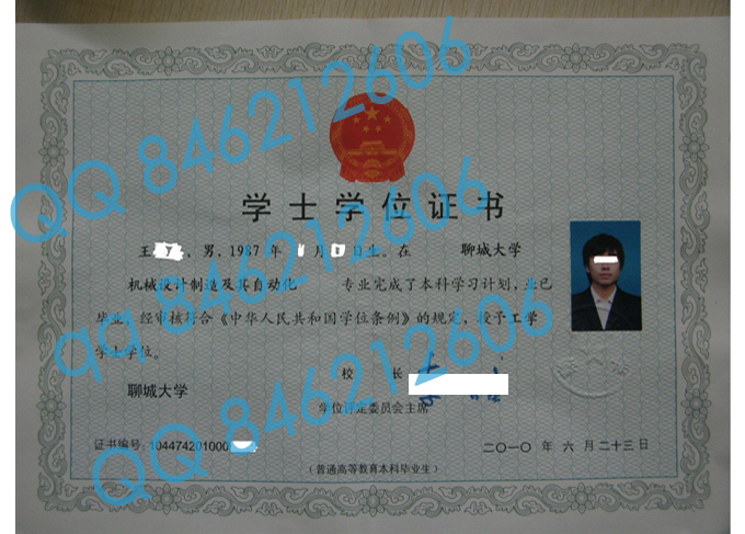 聊城大学学位证样本