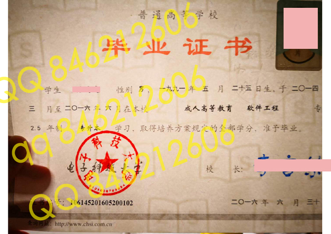 电子科技大学毕业证样本