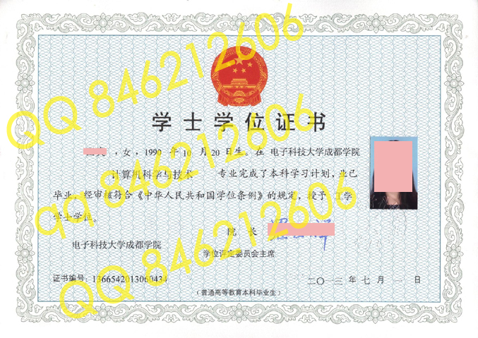 电子科技大学成都学院学位证样本