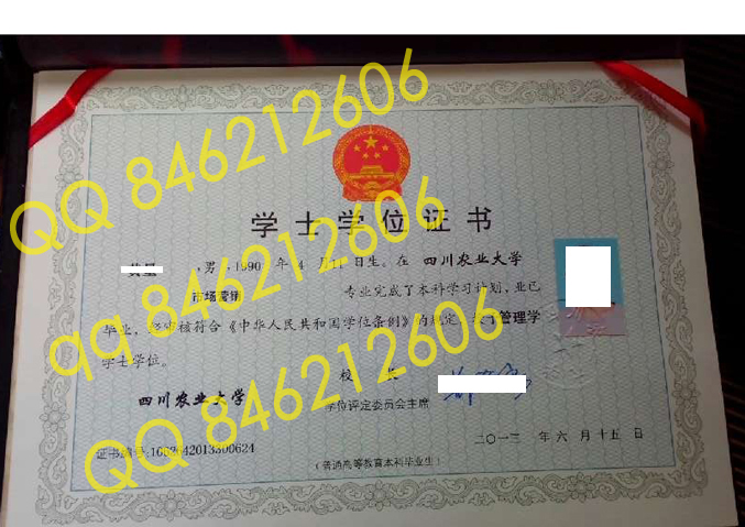四川农业大学学位证样本