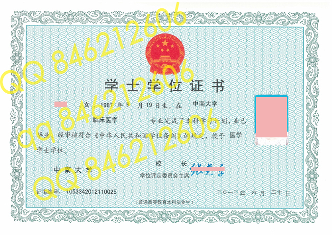 中南大学学士学位证样本