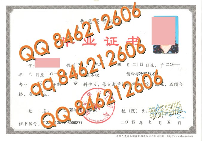 山东华宇工学院毕业证样本