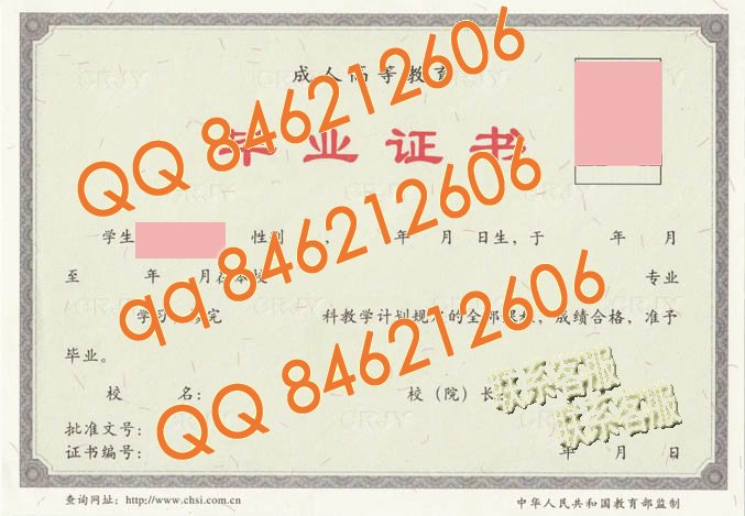 2004年至2008年成教毕业证样本