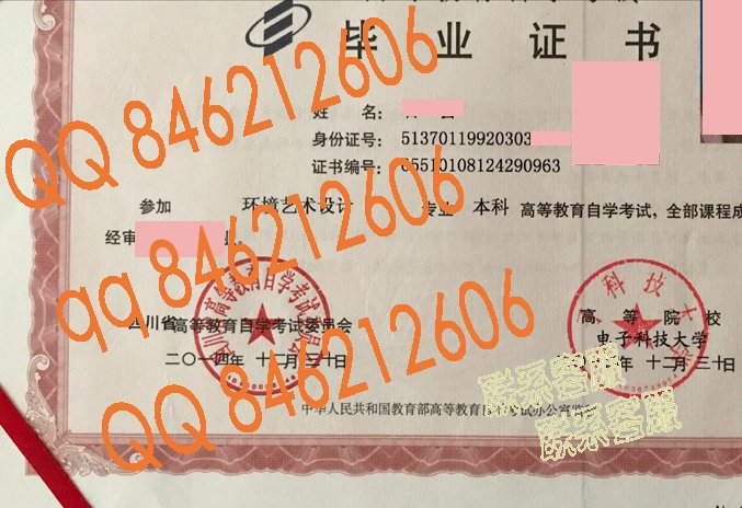 电子科技大学自考毕业证样本