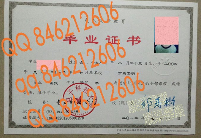 电子科技大学成教毕业证样本