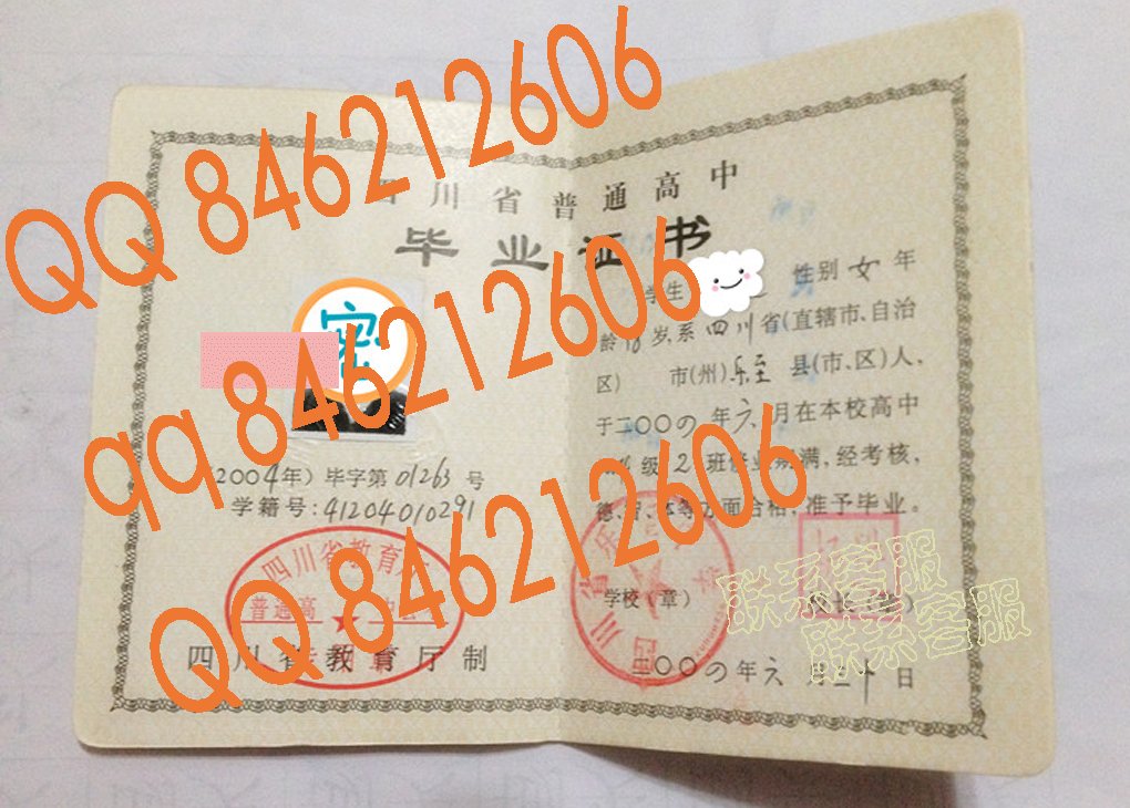四川省乐至中学毕业证样本