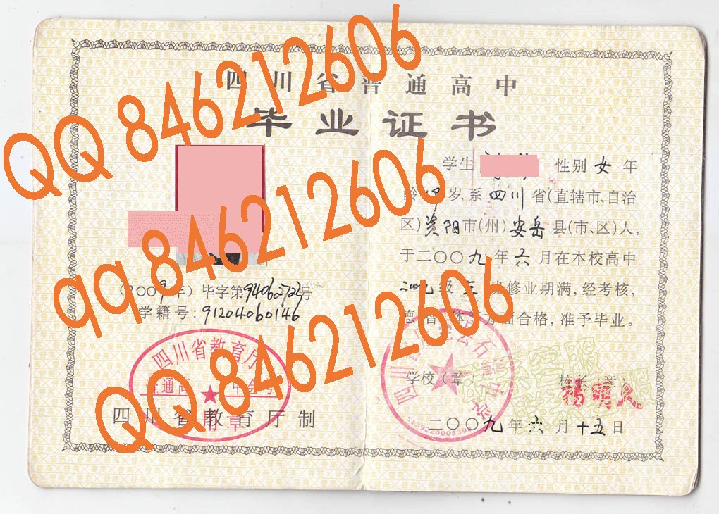 四川省乐至县石湍中学毕业证样本