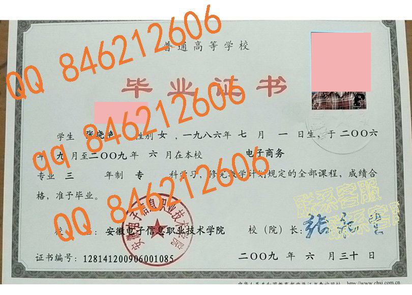 安徽电子信息职业技术学院毕业证样本