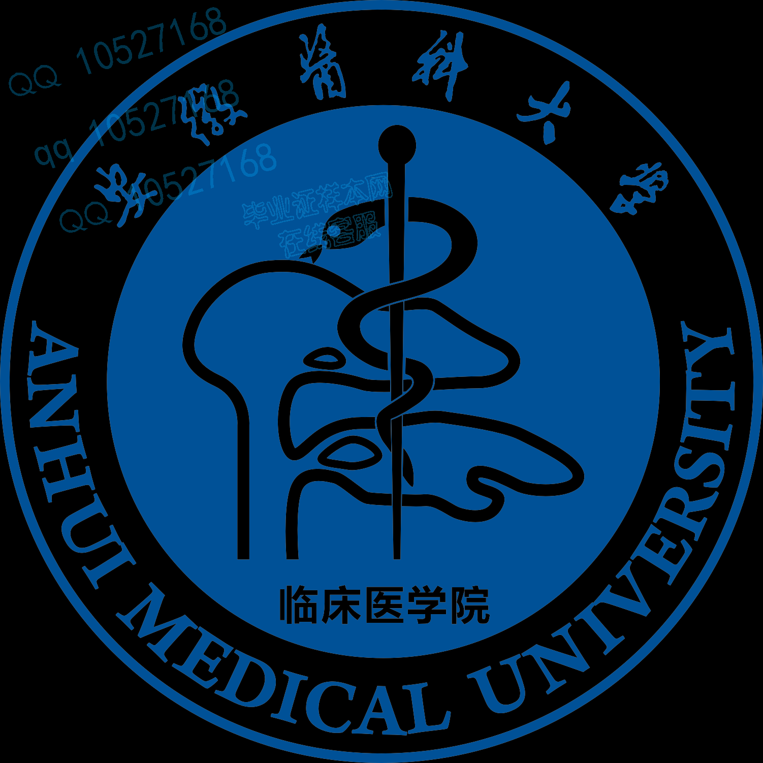 安徽医科大学临床医学院