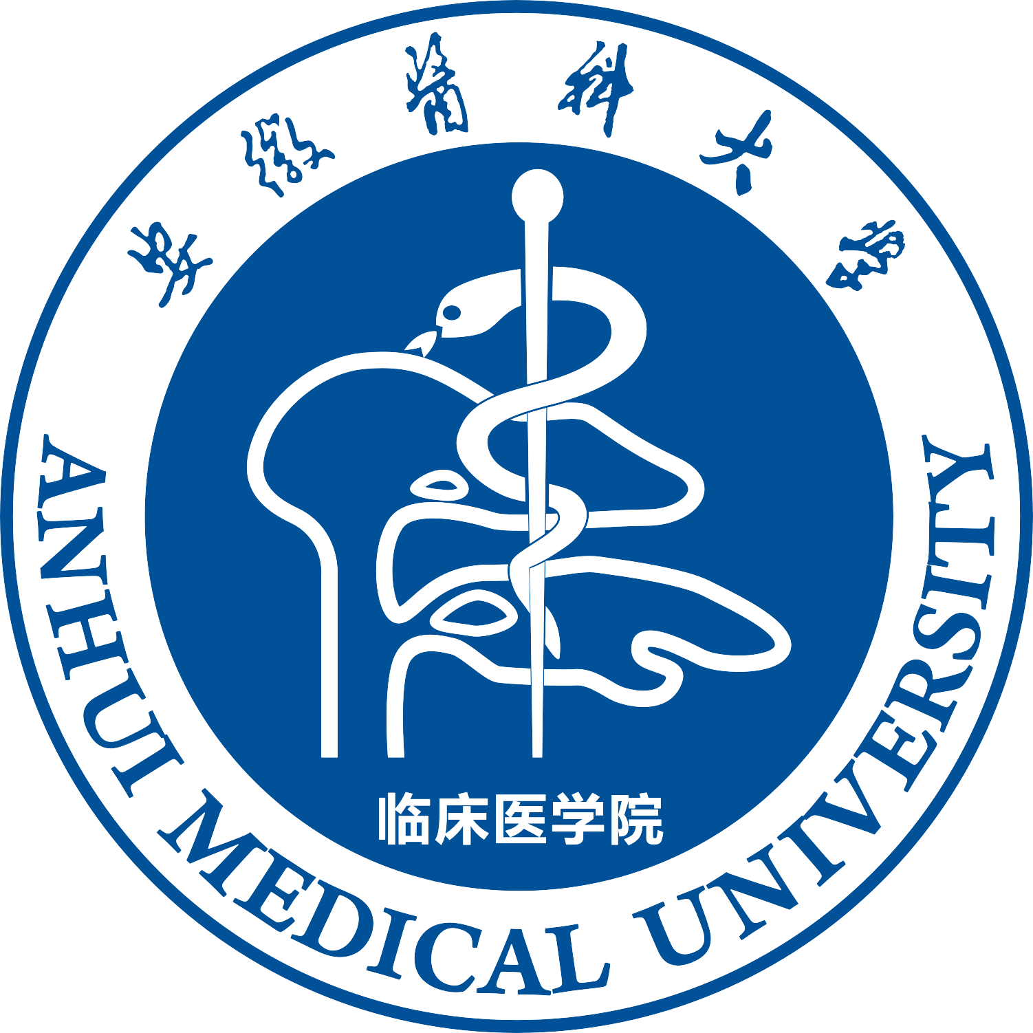 安徽医科大学临床医学院