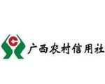 广西壮族自治区农村信用社联合社开业庆典