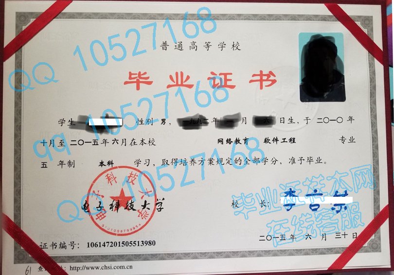 电子科技大学网络教育毕业证