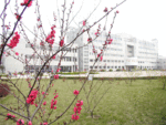 阜阳师范学院