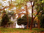 华中农业大学文法学院
