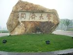 同济大学汽车学院