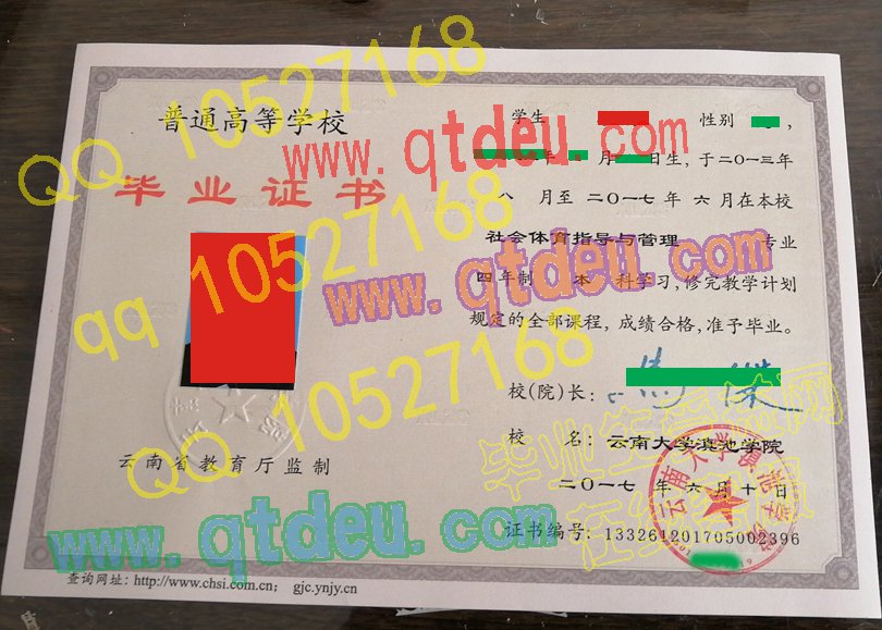 云南大学滇池学院|毕业证书|样本大全q5