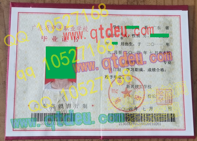 新兴理工学校毕业证样板(样本)