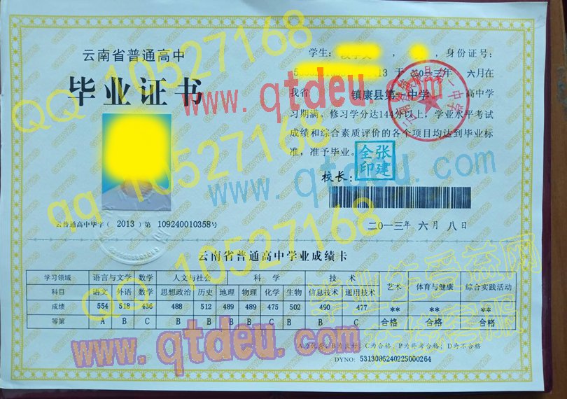 云南省镇康县第一中学毕业证模板/样本