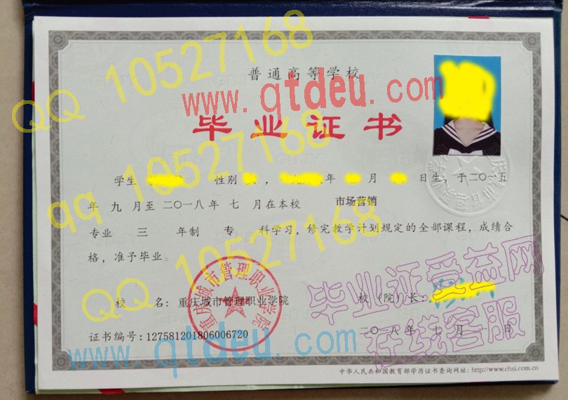 重庆城市管理职业学院毕业证样本(模板)