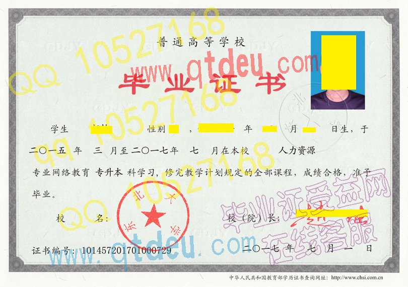 东北大学网络教育毕业证样板(样本)