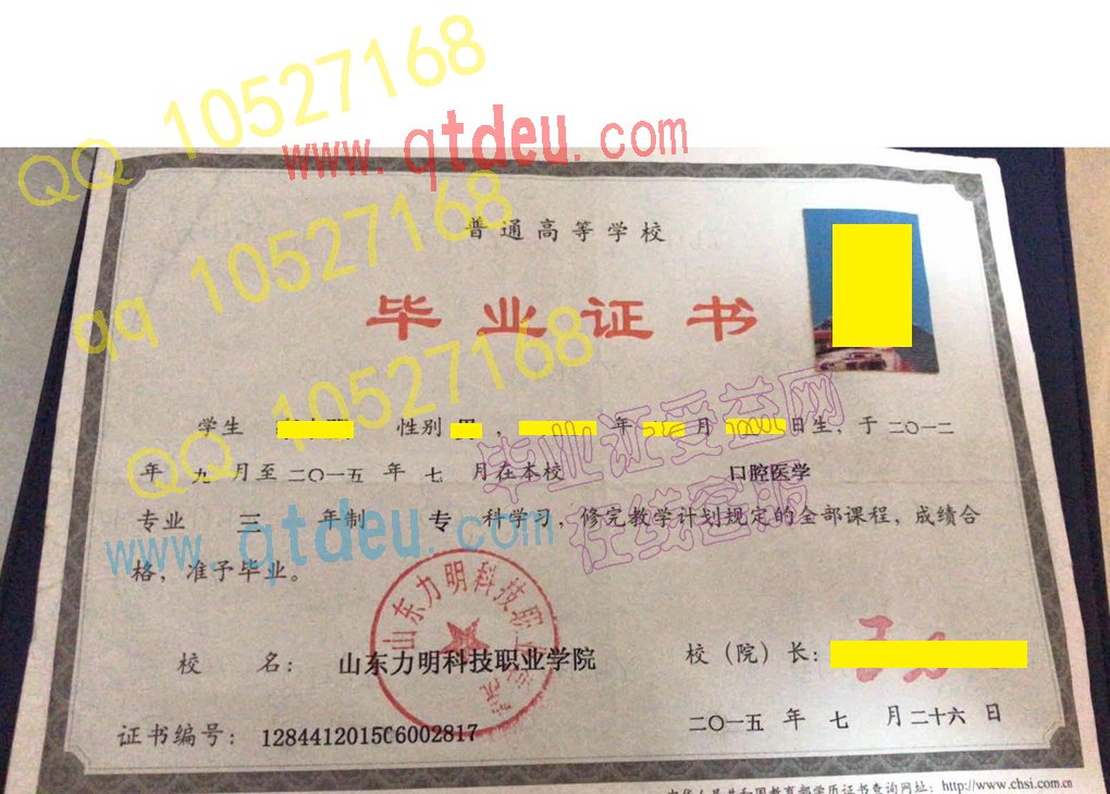 山东力明科技职业学院毕业证模板{样本}
