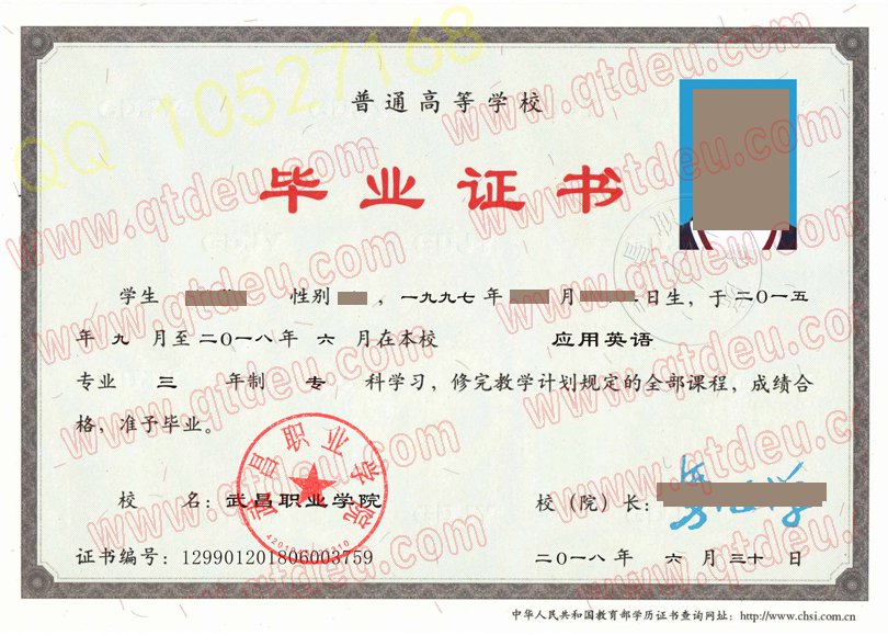 武昌职业学院毕业证模板/样本