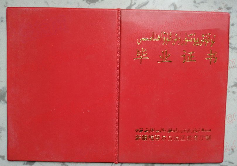 新疆中专毕业证外皮