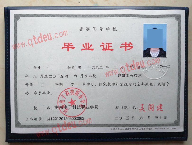 湖南电子科技职业学院毕业证样板_模板