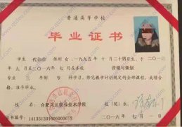 合肥共达职业技术学院毕业证原版样式图