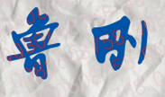 鲁刚校长签名