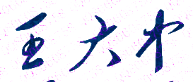 王大中校长签名